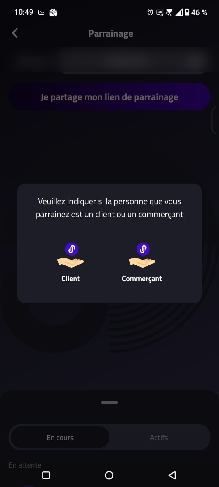 parrainage2_flou.png